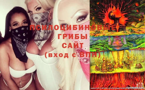 тгк Абдулино