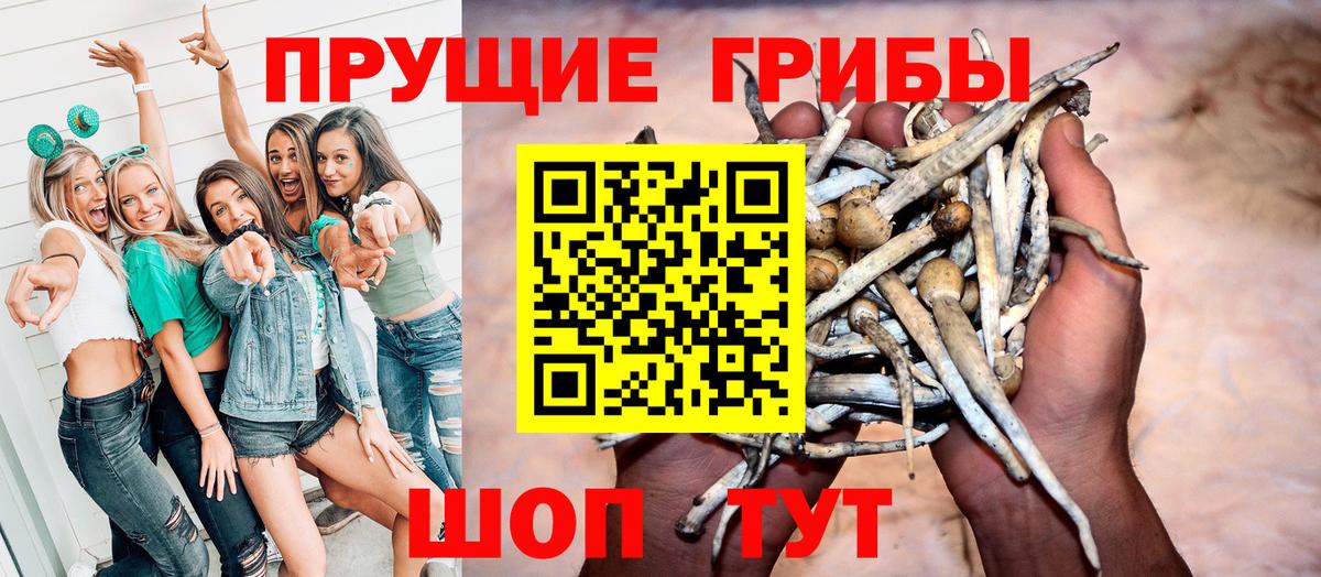 Псилоцибиновые грибы прущие грибы Усинск