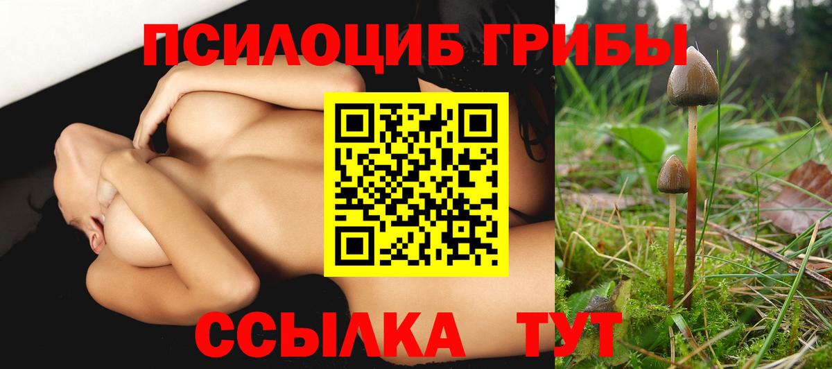 Галлюциногенные грибы Psilocybe  Галлюциногенные грибы GOLDEN TEACHER  Усинск  Вход с VPN 